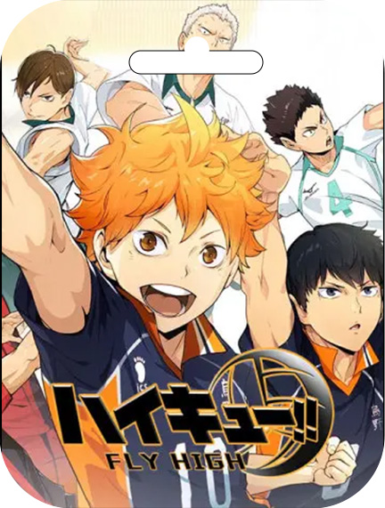 HAIKYU!! FLY HIGH